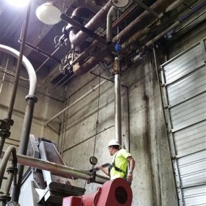 Food Processing Overhead Fall Protection 3